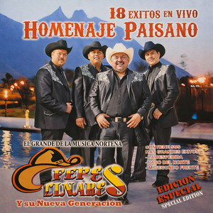 Te He Borrado (En Vivo)