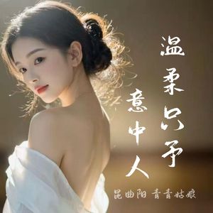 温柔只予意中人 伴奏