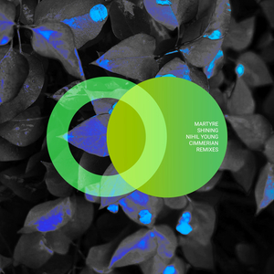 Shining (Cimmerian Mix)