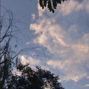 Mc梦柯-爱到最后都是恩情（林风 remix）