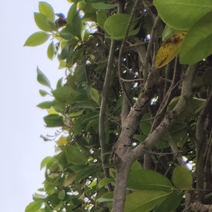 永远不要去责怪你生命中出现的任何一个人