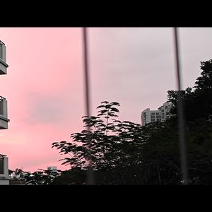 Royal Blue （pt.rapeter)