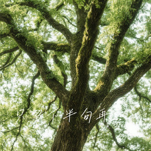 只留下半句再见