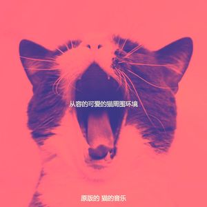 抚慰的可爱的猫回忆