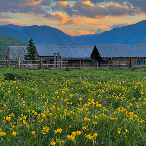 茶花开了，该回家了（钢琴曲）