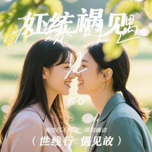 无缘的遇见