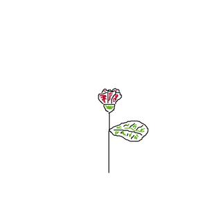 Ahora Si (feat. Lil Chachi)