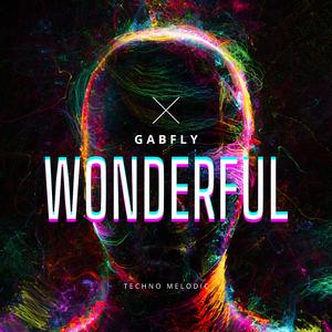 WONDERFUL (TECHNO MELODIC)