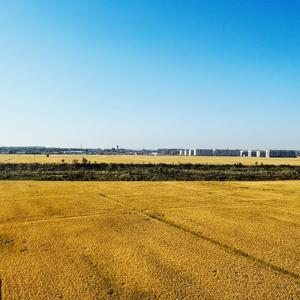 田野（Vocal Ver.）