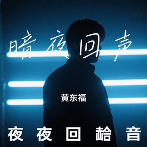 暗夜回声