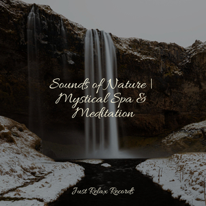 Fading Tides of Sorrow