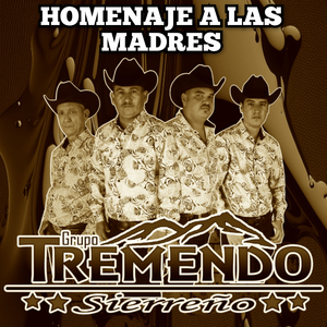 Novedad