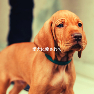 Successful New Year Styles