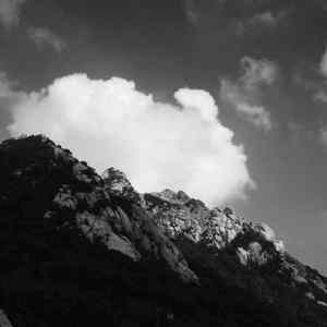 千本樱（二胡版）（翻自 初音ミク）