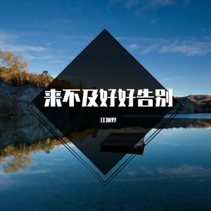 花斑斑留在爱你的路