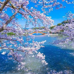 加油，加油一起向前冲