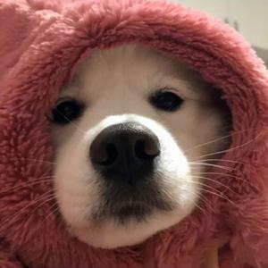 爱没那么久（翻唱：林梦宸）