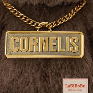 Labibobu (Labubu Song)