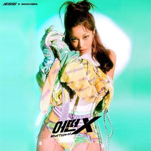 What Type of X (어떤X)（翻自 Jessi）