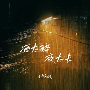 酒太醉夜太长