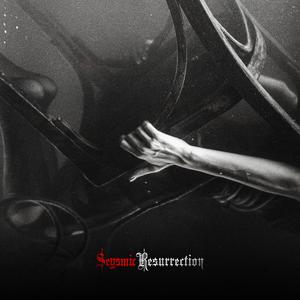 Bloodlust (feat. Ryan Lucas)