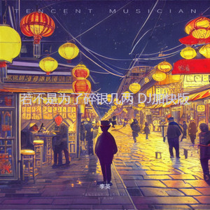 若不是为了碎银几两 (DJ加快版)