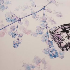 Effulgence(instrumental)