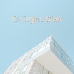 Sliver