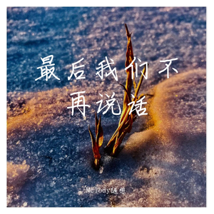 最后我们不再说话