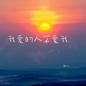 我爱的人不爱我