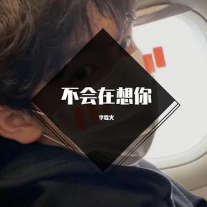 不会在想你 吉他版