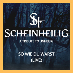 So wie Du warst (Live)