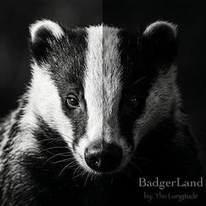 BadgerLand