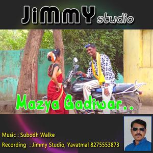 Mazya Gadiwar Gondi song (feat. Subodh Walke & Subhash Sidam)