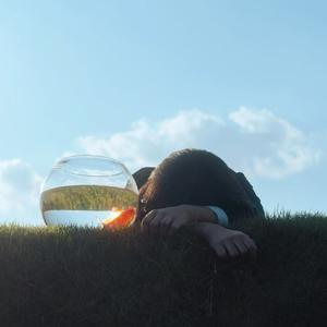 小鱼小鱼快快游 四面八方是自由