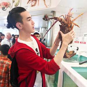 像雾像雨又像风