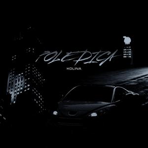 Poledica