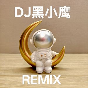 夜夢闌珊（DJ黑小鷹 REMIX)
