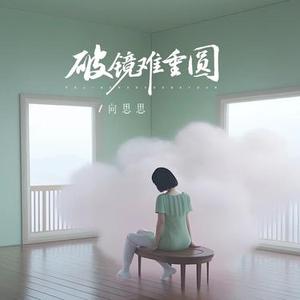 破镜难重圆DJ阿本版