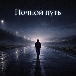 Ночной путь