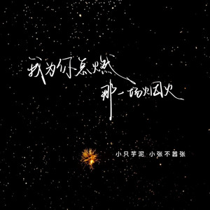 我为你点燃那一场烟火 (emo版)