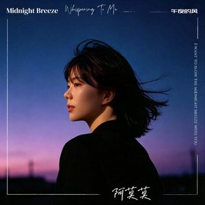 想和你吹午夜的风