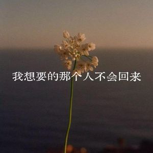 我想要的那个人不会回来了