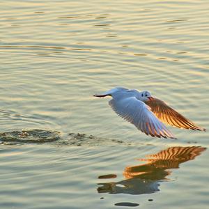 Be the Best Version of Yourself