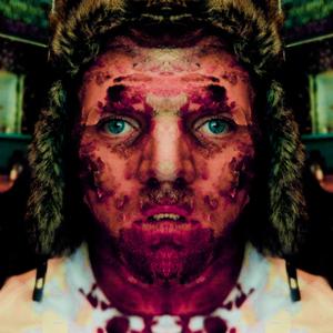 Sorry, The Turtle is in Another Castle