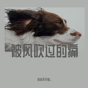 被风吹过的痛