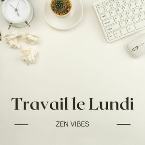 Bruits doux de la lessive (2)