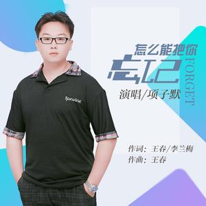 怎么能把你忘记
