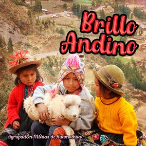 Brillo Andino