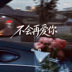 不会再爱你